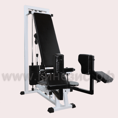 Аддуктор - №21 (80 кг)