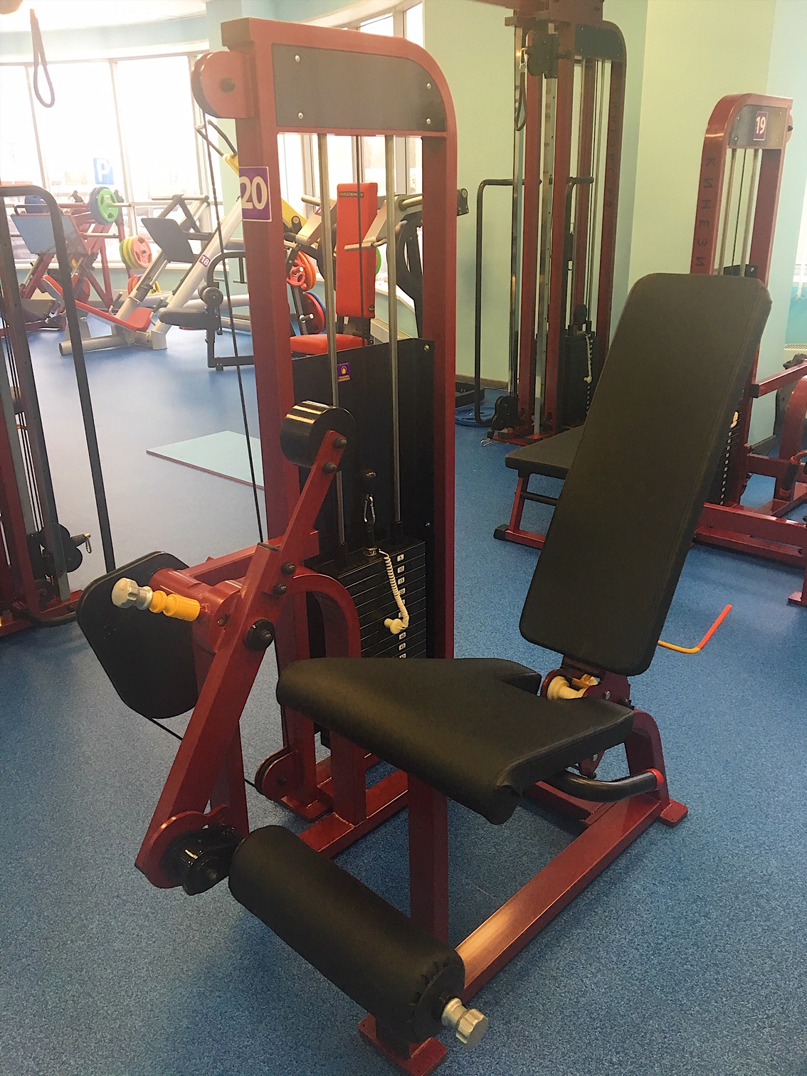 Разгибатель №20 ПРОФИ (60 кг)